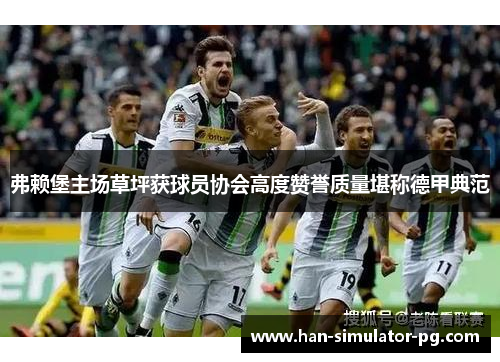 弗赖堡主场草坪获球员协会高度赞誉质量堪称德甲典范
